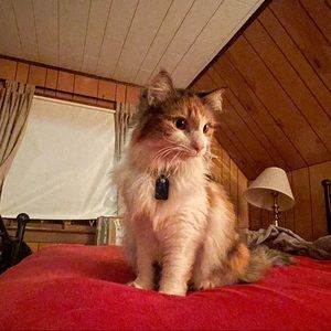 Meet your Posher, Sheila